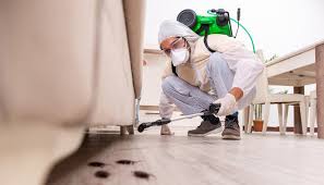 Best Pest Control for Restaurants and Food Service  in Westwood, PA